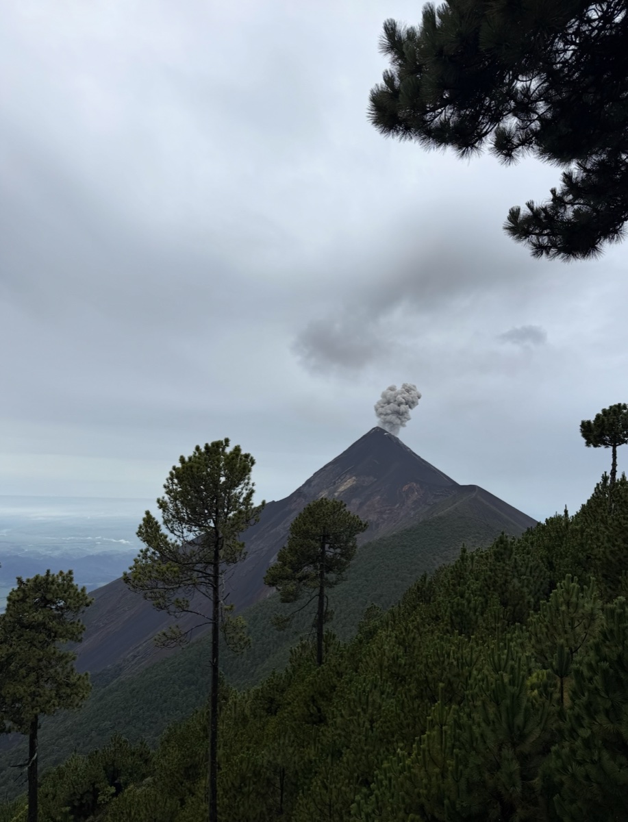 A smoking volcano in Guatemala beneath a cloudy daytime sky, framed by pine trees.